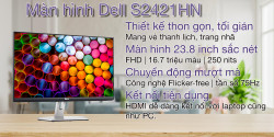 Màn hình máy tính Dell S2421HN 23.8 inch FHD